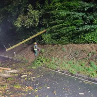 2026-09-11 Baum auf Fahrbahn